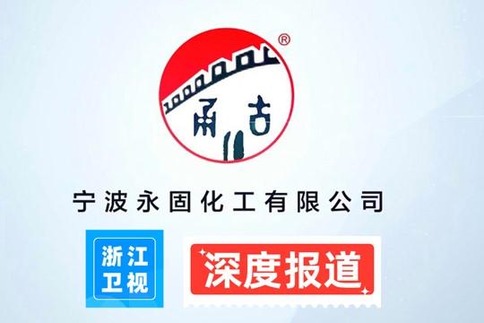 深度探索：乐发vll500在纸管胶与白乳胶领域的创新之路 - 浙江卫视报道